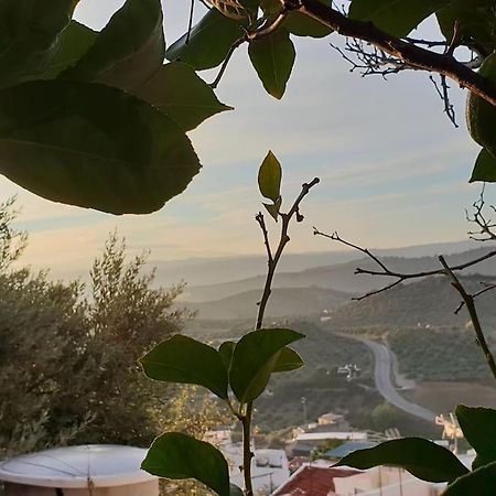 Mirador Del Olivar Olvera Exteriér fotografie