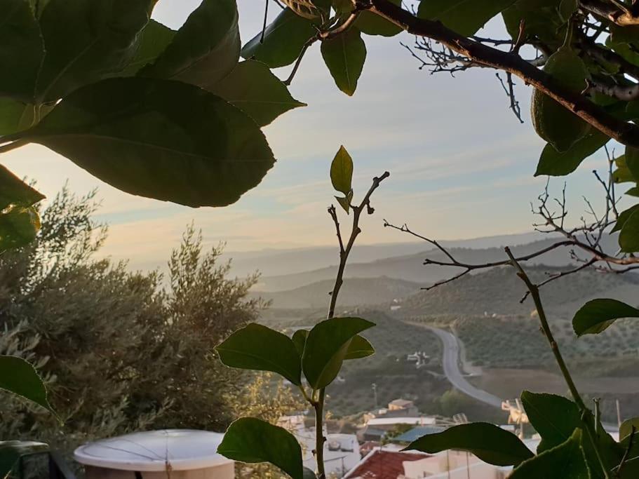 Mirador Del Olivar Olvera Exteriér fotografie