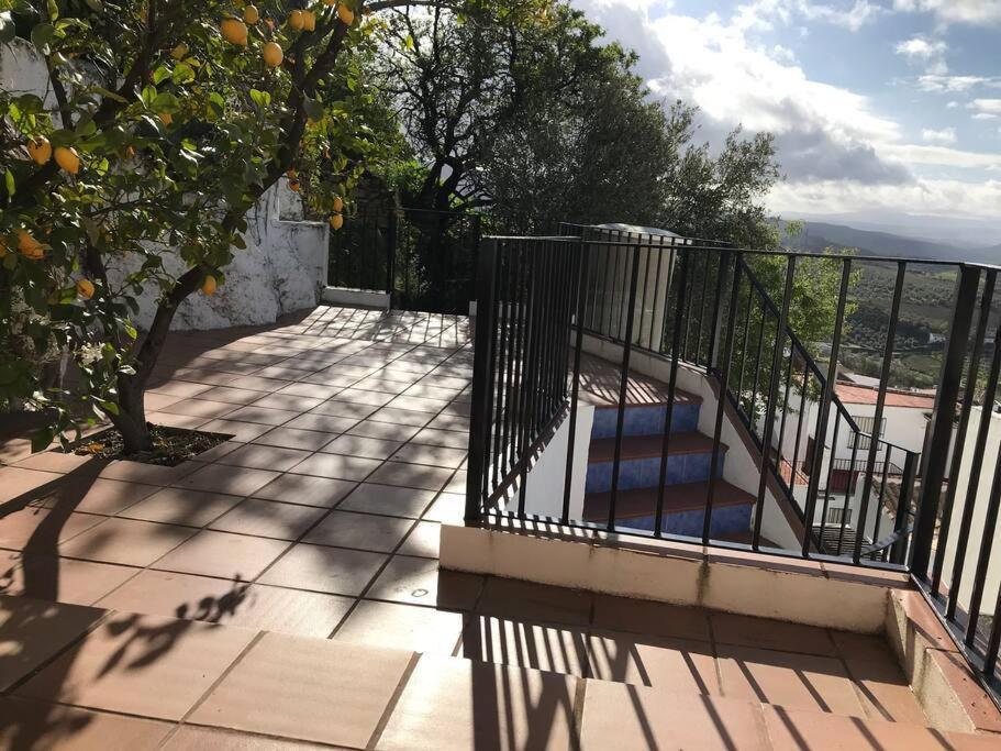 Mirador Del Olivar Olvera Exteriér fotografie