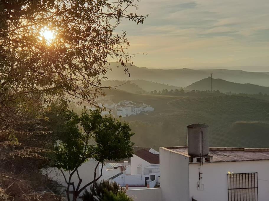 Mirador Del Olivar Olvera Exteriér fotografie